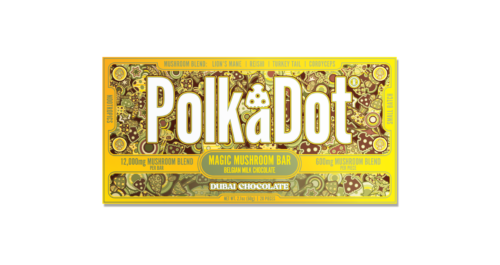 PolkaDot Dubai Chocolate Mushroom Bar — package authentication required