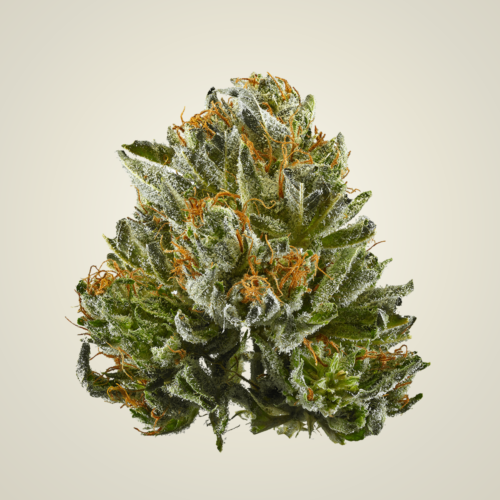 Bubba Kush CBD AAA Exotic Flower (Indica)