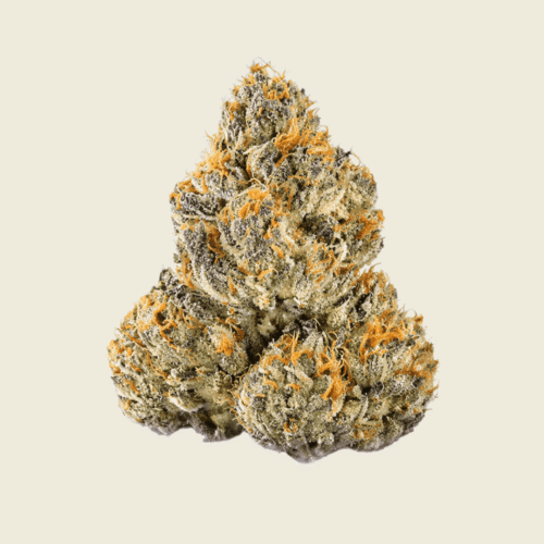 Kandy Kane Candy Collection Flower (Indica) - 1g