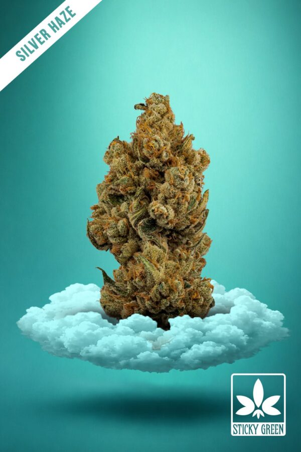 Silver Haze High Grade Flower (Sativa) - 28g (1oz)