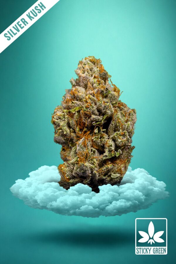 Silver Kush High Grade Flower (Hybrid) - 3.5g